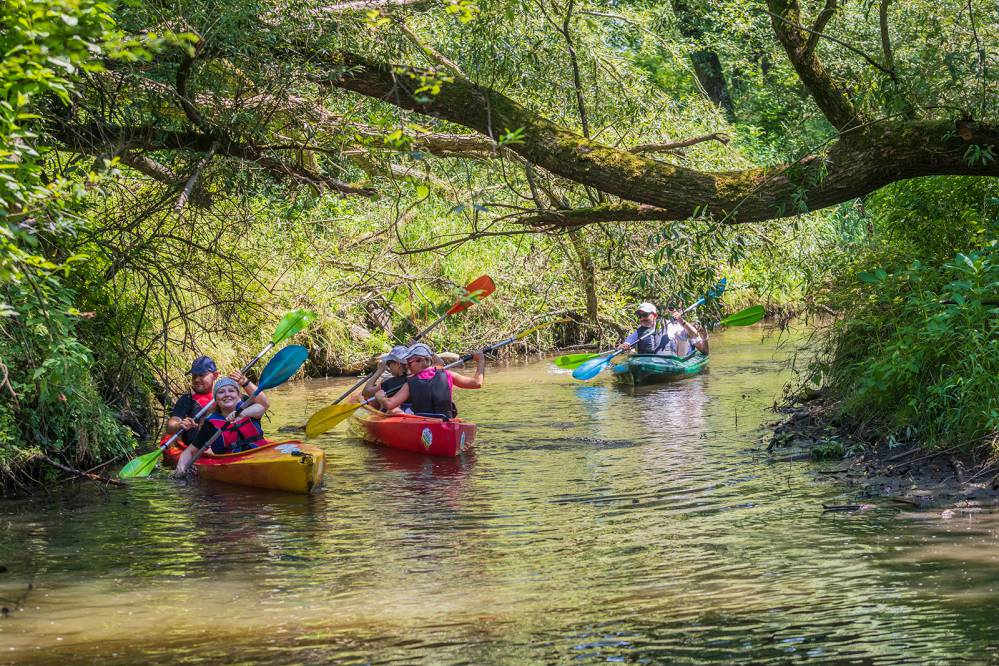 Szlak kajakowy Szotkówka